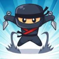 Join the Flight of the Agile Ninja Soar to Victory